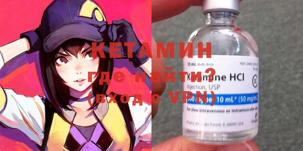 шишки Няндома