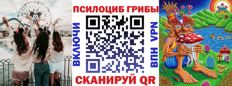 купить наркотик  MEGA зеркало  Псилоцибиновые грибы Cubensis  Североуральск 