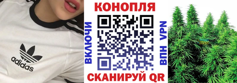 Канабис сатива Североуральск